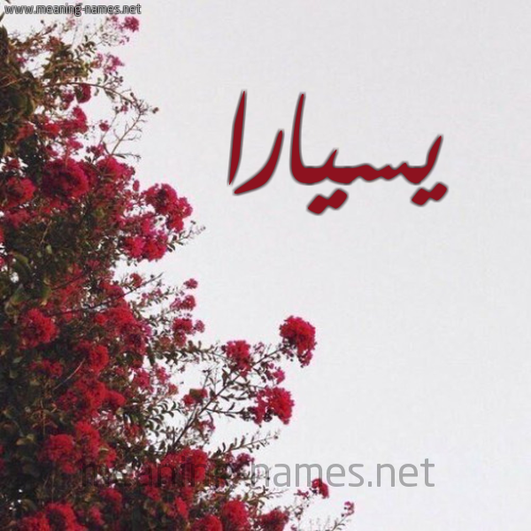 شكل 18 صوره الورد الأحمر للإسم بخط رقعة صورة اسم يسيارا Ciara