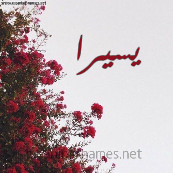 شكل 18 صوره الورد الأحمر للإسم بخط رقعة صورة اسم يسيرا Sira