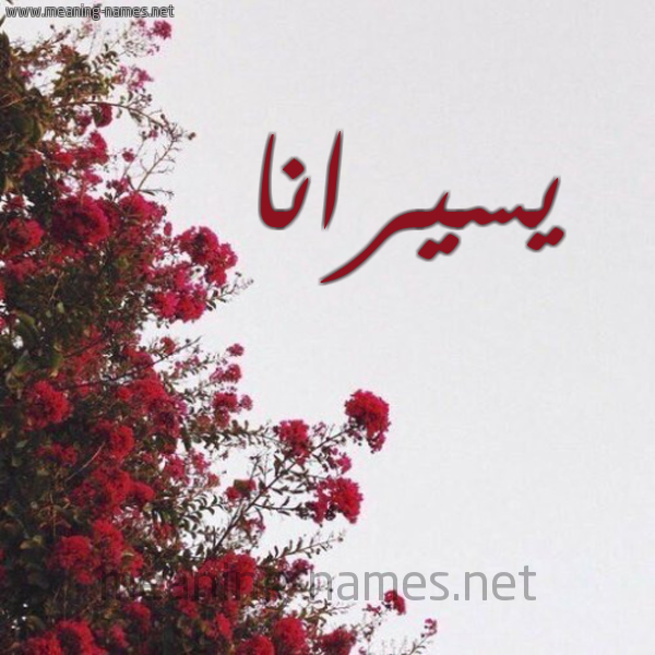 شكل 18 صوره الورد الأحمر للإسم بخط رقعة صورة اسم يسيرانا Sirana