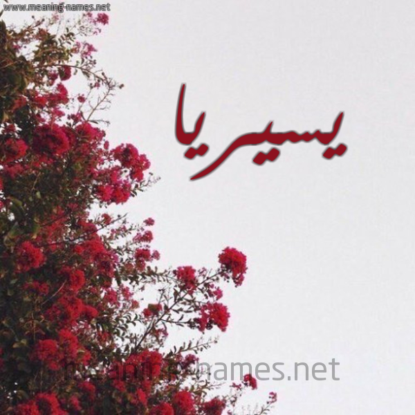 شكل 18 صوره الورد الأحمر للإسم بخط رقعة صورة اسم يسيريا Siria