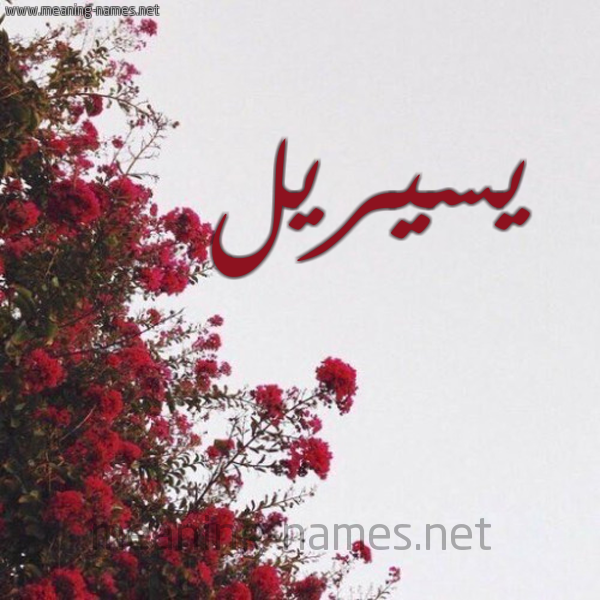 شكل 18 صوره الورد الأحمر للإسم بخط رقعة صورة اسم يسيريل Cyrille