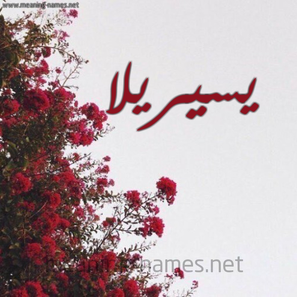 شكل 18 صوره الورد الأحمر للإسم بخط رقعة صورة اسم يسيريلا Cyrilla