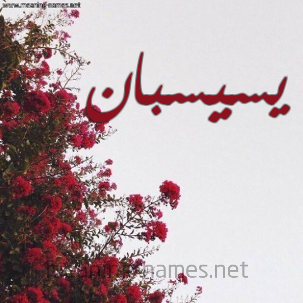 شكل 18 صوره الورد الأحمر للإسم بخط رقعة صورة اسم يسيسبان Sesbania