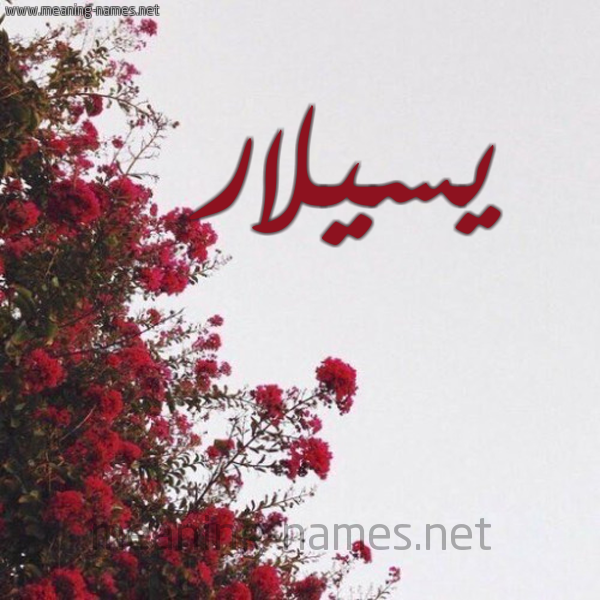 شكل 18 صوره الورد الأحمر للإسم بخط رقعة صورة اسم يسيلار Silar