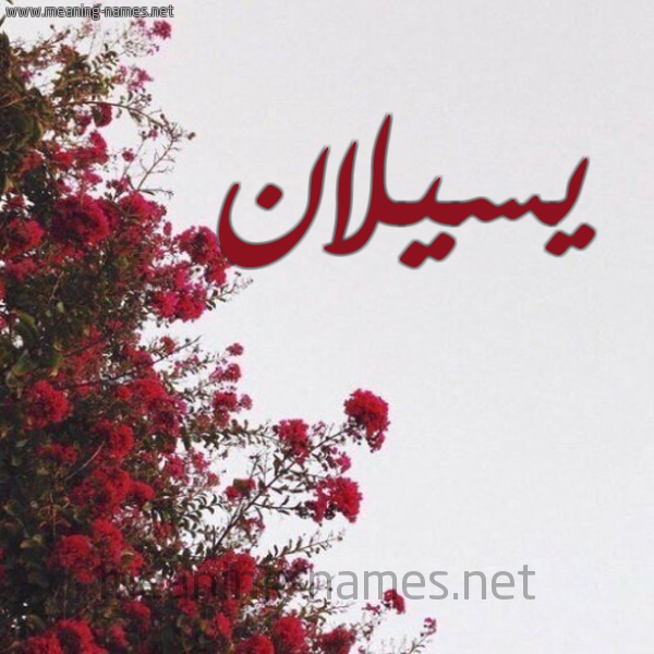 شكل 18 صوره الورد الأحمر للإسم بخط رقعة صورة اسم يسيلان Silan