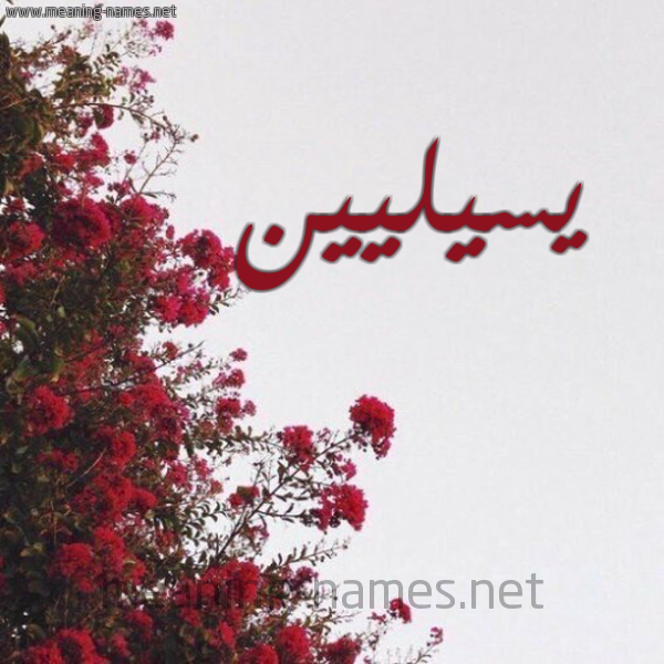 شكل 18 صوره الورد الأحمر للإسم بخط رقعة صورة اسم يسيليين Celine