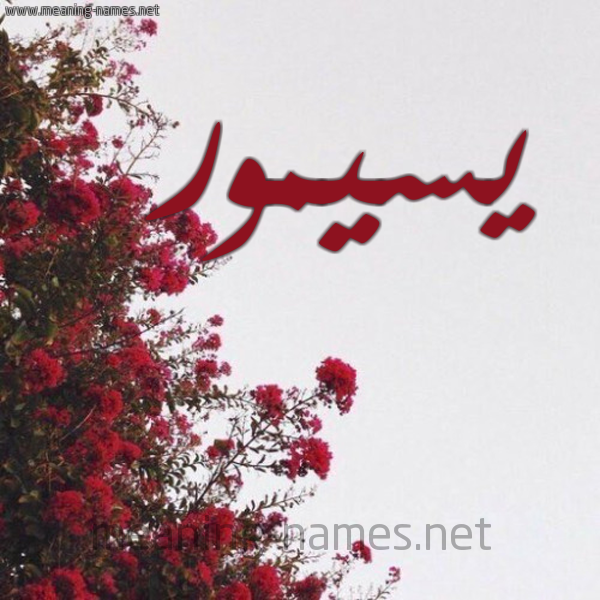 شكل 18 صوره الورد الأحمر للإسم بخط رقعة صورة اسم يسيمور Seymour