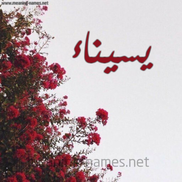 شكل 18 صوره الورد الأحمر للإسم بخط رقعة صورة اسم يسيناء Sainaa