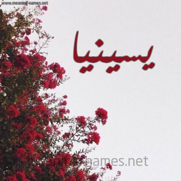 شكل 18 صوره الورد الأحمر للإسم بخط رقعة صورة اسم يسينيا yesinna