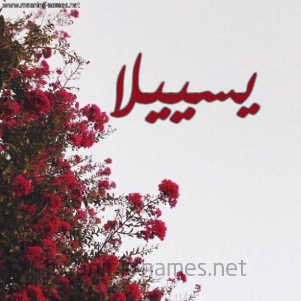 شكل 18 صوره الورد الأحمر للإسم بخط رقعة صورة اسم يسييلا Sila