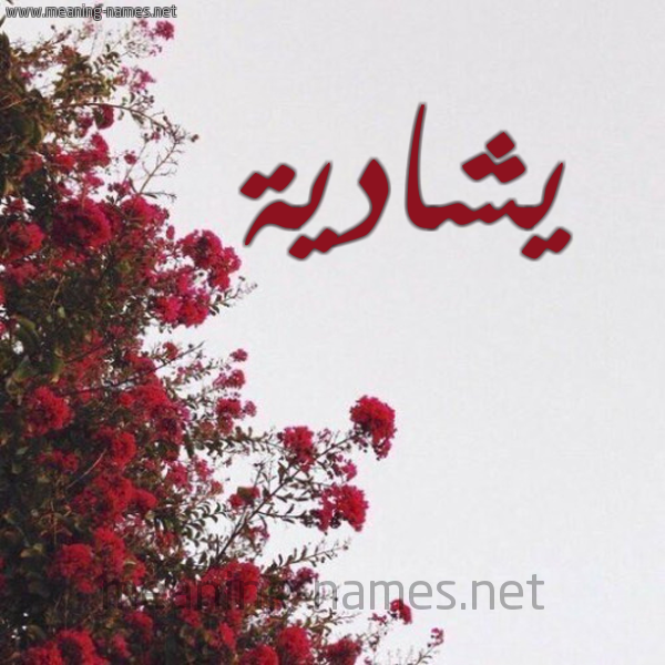 شكل 18 صوره الورد الأحمر للإسم بخط رقعة صورة اسم يشادية Shadia