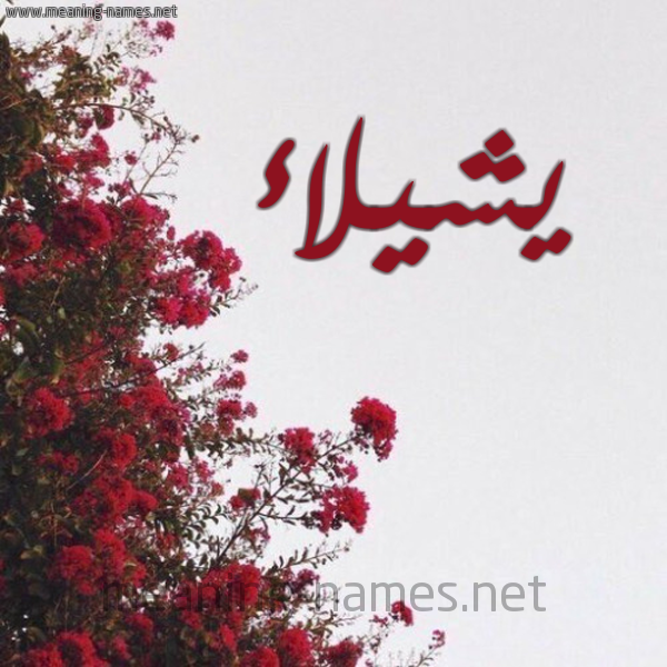 شكل 18 صوره الورد الأحمر للإسم بخط رقعة صورة اسم يشيلاء Shaylaa
