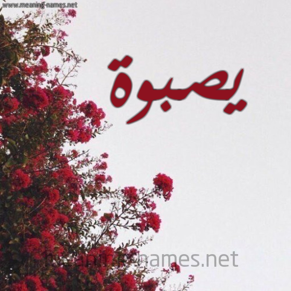 شكل 18 صوره الورد الأحمر للإسم بخط رقعة صورة اسم يصبوة Sabwah