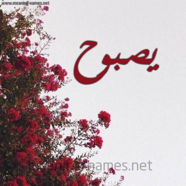 شكل 18 صوره الورد الأحمر للإسم بخط رقعة صورة اسم يصبوح Sabouh