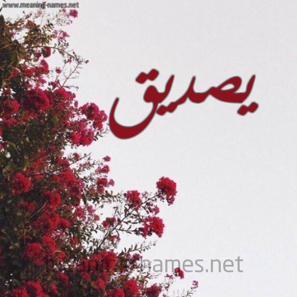 شكل 18 صوره الورد الأحمر للإسم بخط رقعة صورة اسم يصديق Sadiq