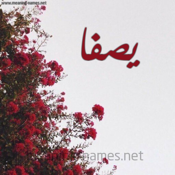شكل 18 صوره الورد الأحمر للإسم بخط رقعة صورة اسم يصفا Safa