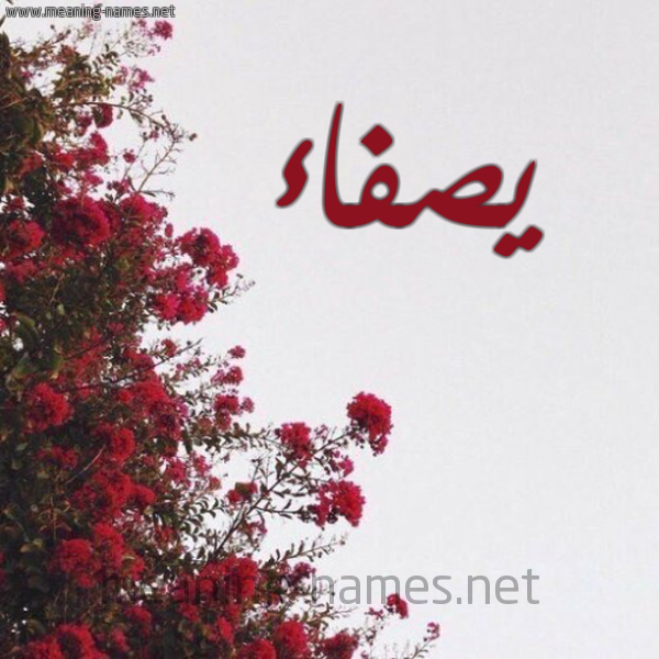 شكل 18 صوره الورد الأحمر للإسم بخط رقعة صورة اسم يصفاء Safaa