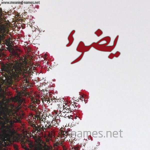 شكل 18 صوره الورد الأحمر للإسم بخط رقعة صورة اسم يضوء Doa