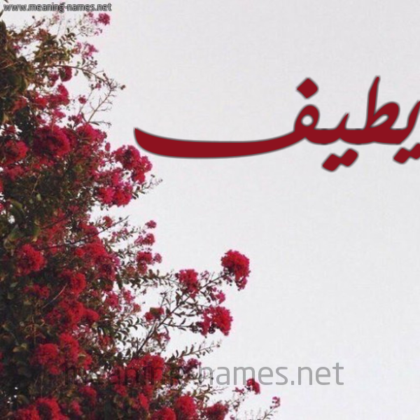 شكل 18 صوره الورد الأحمر للإسم بخط رقعة صورة اسم يطيف Taif