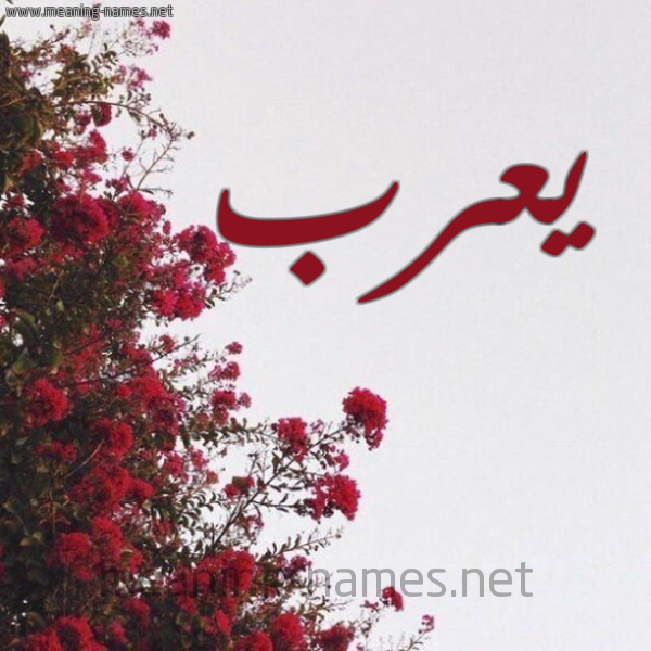 شكل 18 صوره الورد الأحمر للإسم بخط رقعة صورة اسم يعرب Yarb