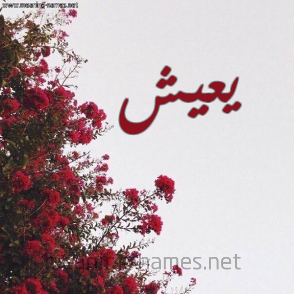 شكل 18 صوره الورد الأحمر للإسم بخط رقعة صورة اسم يعيش Yaesh
