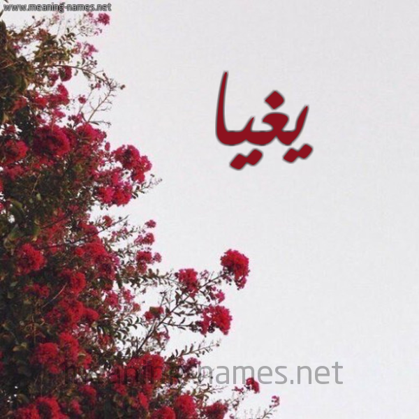 شكل 18 صوره الورد الأحمر للإسم بخط رقعة صورة اسم يغيا Ghia