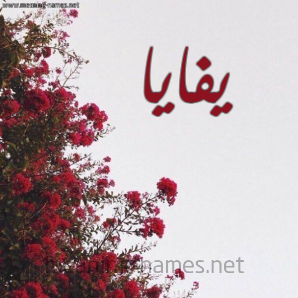 شكل 18 صوره الورد الأحمر للإسم بخط رقعة صورة اسم يفايا Faia