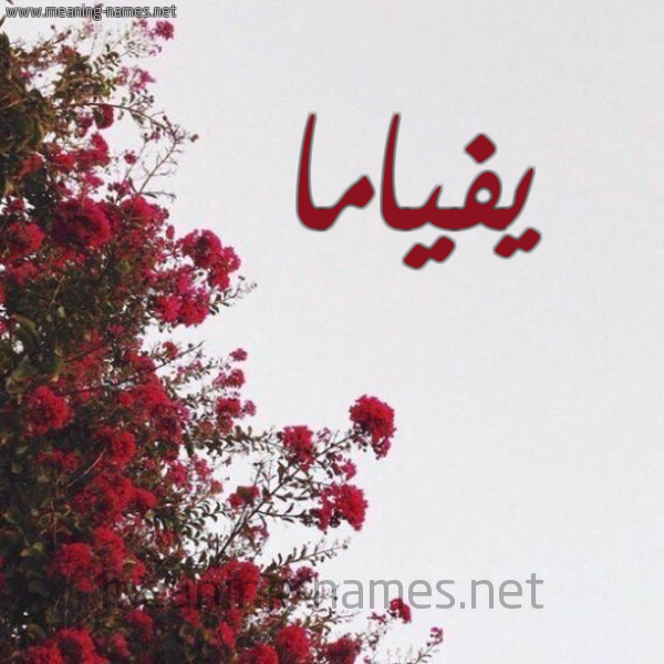 شكل 18 صوره الورد الأحمر للإسم بخط رقعة صورة اسم يفياما Fiamma