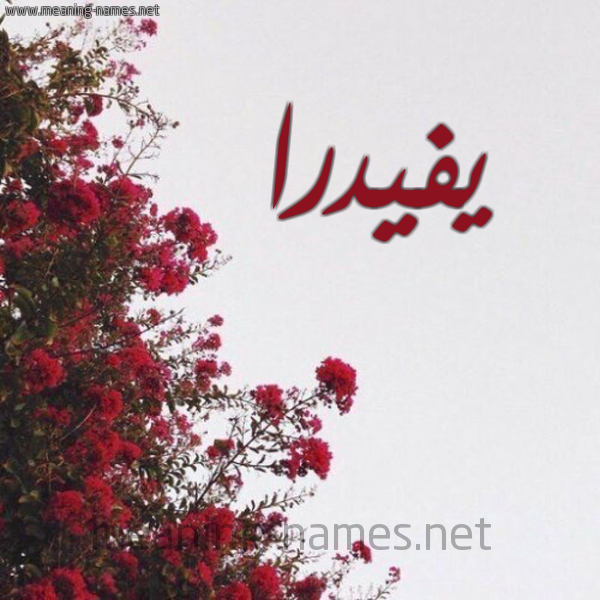 شكل 18 صوره الورد الأحمر للإسم بخط رقعة صورة اسم يفيدرا Phaedra