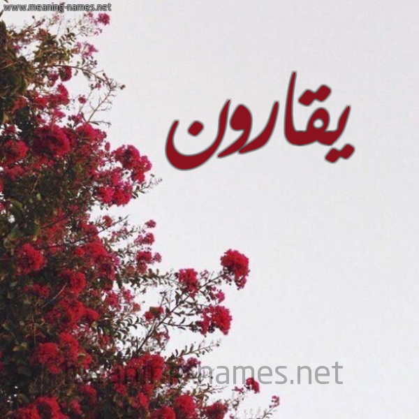 شكل 18 صوره الورد الأحمر للإسم بخط رقعة صورة اسم يقارون Qaroon