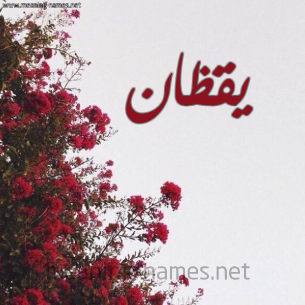 شكل 18 صوره الورد الأحمر للإسم بخط رقعة صورة اسم يقظان Yqzan