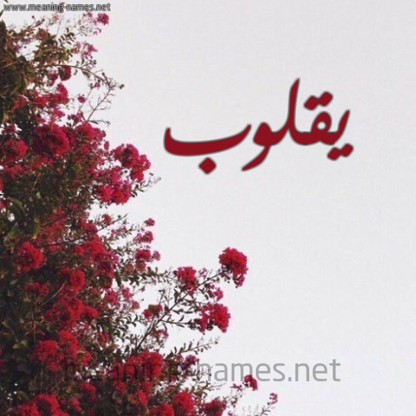 شكل 18 صوره الورد الأحمر للإسم بخط رقعة صورة اسم يقلوب Qoloub