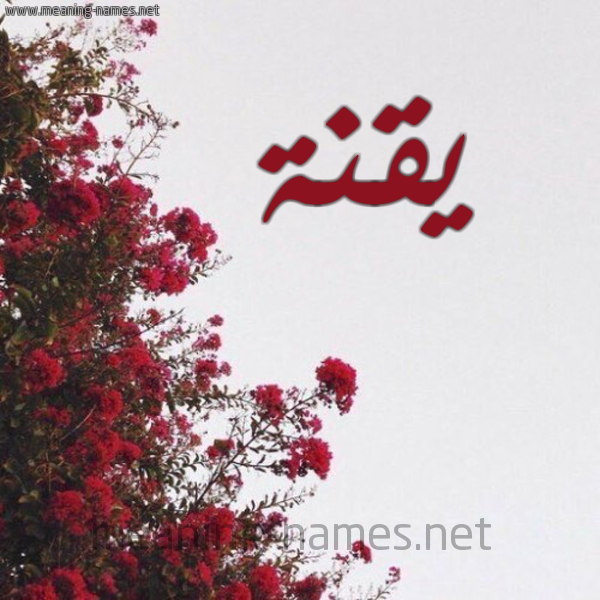 شكل 18 صوره الورد الأحمر للإسم بخط رقعة صورة اسم يقنة Yqnh