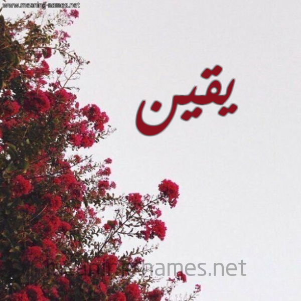 شكل 18 صوره الورد الأحمر للإسم بخط رقعة صورة اسم يقين Yqyn