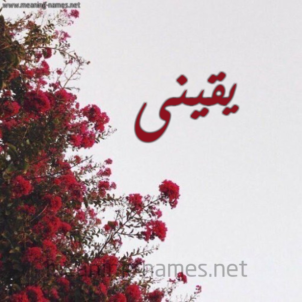 شكل 18 صوره الورد الأحمر للإسم بخط رقعة صورة اسم يقينى Yaken