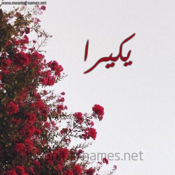 شكل 18 صوره الورد الأحمر للإسم بخط رقعة صورة اسم يكيرا Keira
