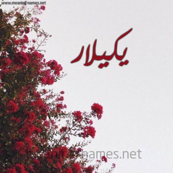 شكل 18 صوره الورد الأحمر للإسم بخط رقعة صورة اسم يكيلار Kilar