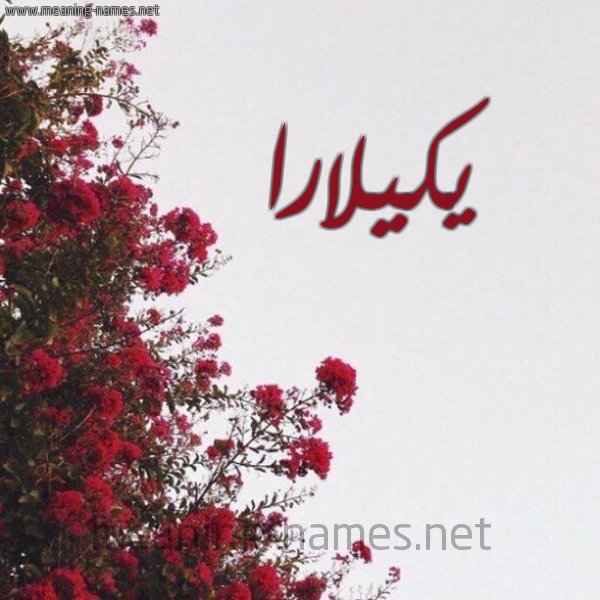 شكل 18 صوره الورد الأحمر للإسم بخط رقعة صورة اسم يكيلارا Kilara