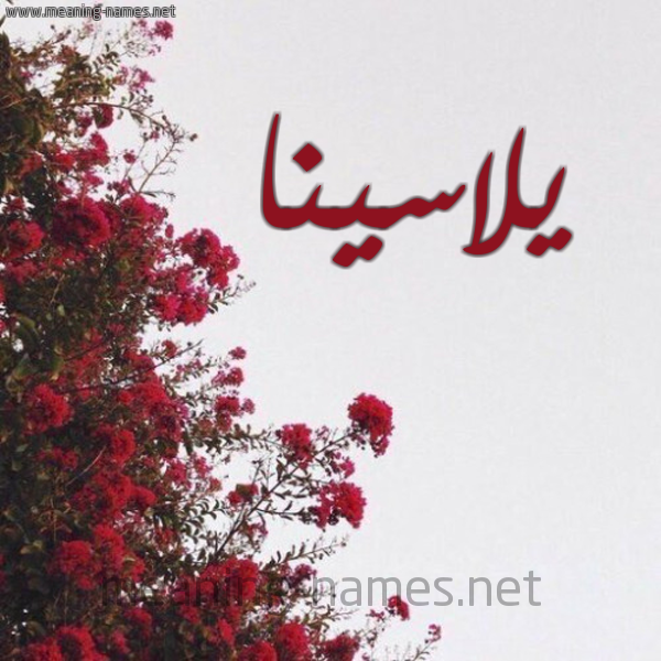 شكل 18 صوره الورد الأحمر للإسم بخط رقعة صورة اسم يلاسينا Lasina