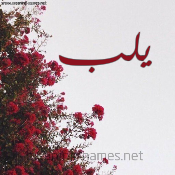 شكل 18 صوره الورد الأحمر للإسم بخط رقعة صورة اسم يلب Ylb
