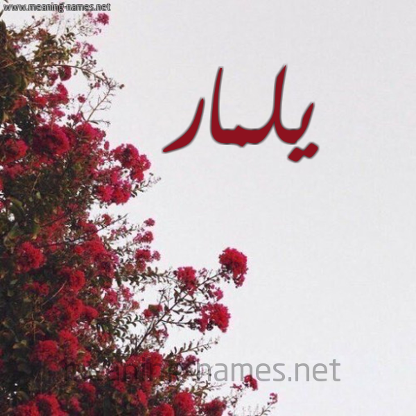 شكل 18 صوره الورد الأحمر للإسم بخط رقعة صورة اسم يلمار yLamar
