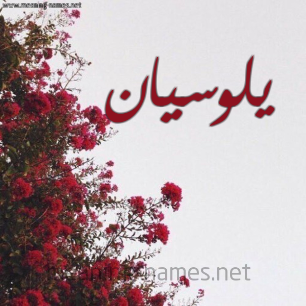 شكل 18 صوره الورد الأحمر للإسم بخط رقعة صورة اسم يلوسيان Lucian