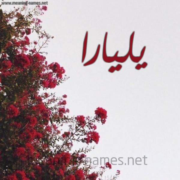 شكل 18 صوره الورد الأحمر للإسم بخط رقعة صورة اسم يليارا yLiara