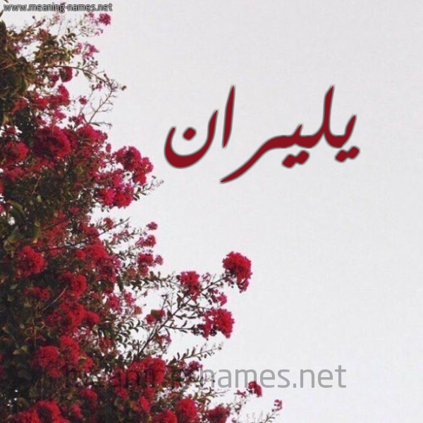 شكل 18 صوره الورد الأحمر للإسم بخط رقعة صورة اسم يليران Liran