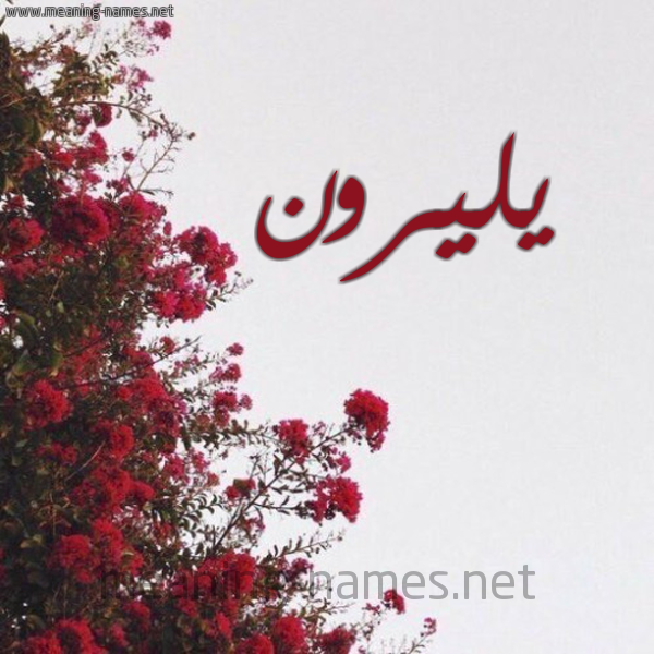 شكل 18 صوره الورد الأحمر للإسم بخط رقعة صورة اسم يليرون Liron