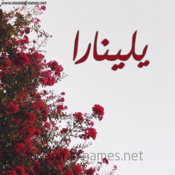 شكل 18 صوره الورد الأحمر للإسم بخط رقعة صورة اسم يلينارا Linara