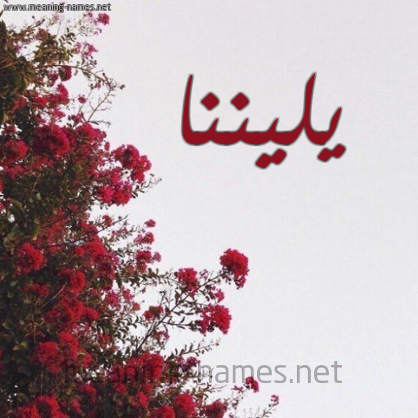 شكل 18 صوره الورد الأحمر للإسم بخط رقعة صورة اسم يليننا Yelena