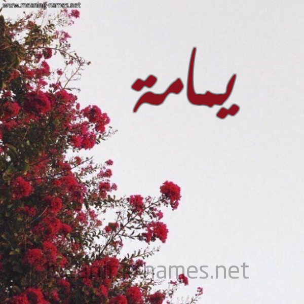 شكل 18 صوره الورد الأحمر للإسم بخط رقعة صورة اسم يمامة Ymamh