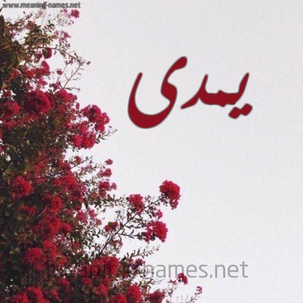 شكل 18 صوره الورد الأحمر للإسم بخط رقعة صورة اسم يمدى Mada