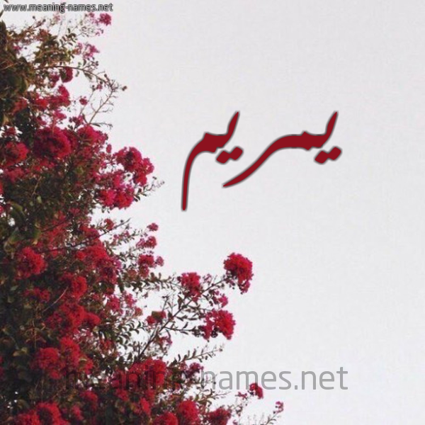 شكل 18 صوره الورد الأحمر للإسم بخط رقعة صورة اسم يمريم Mariam